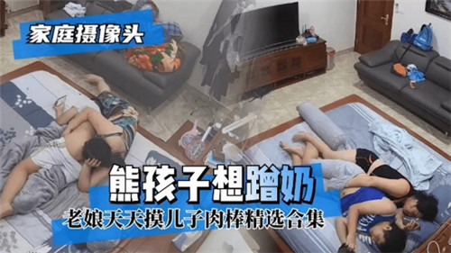 家庭摄像头熊孩子