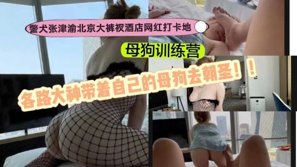 警犬张津渝北京大