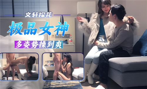 文轩探花极品女神