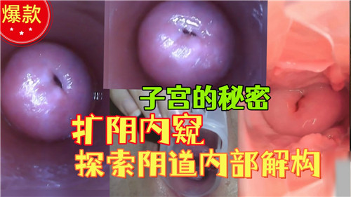 子宫的秘密扩阴内