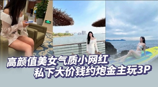 高颜值美女气质小网红私下大价钱约炮金主玩3P